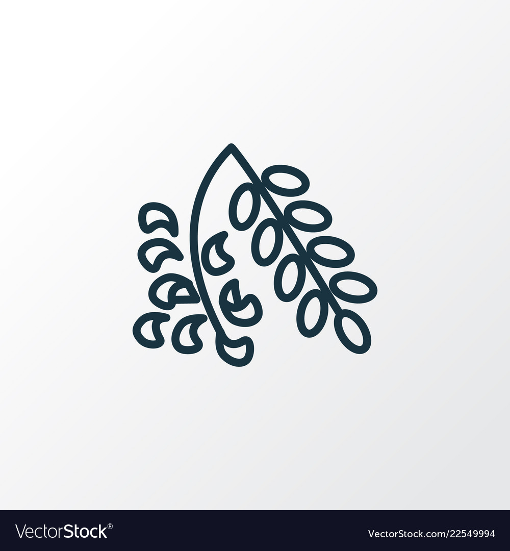 Acacia flower icon line symbol premium quality