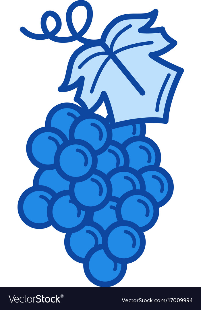 Bunch of grapes line icon