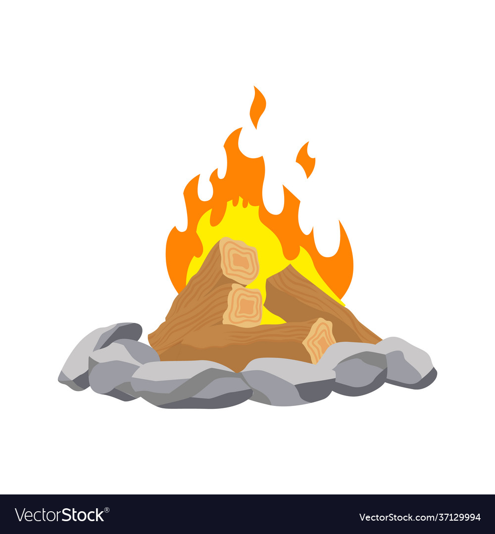 Lagerfeuer Brennen Feuer