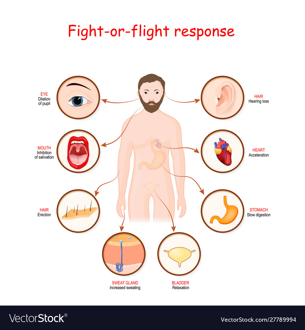 fight-or-flight-a-life-by-design-download