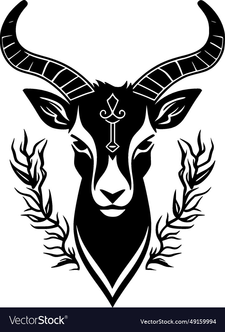 Goat - black and white