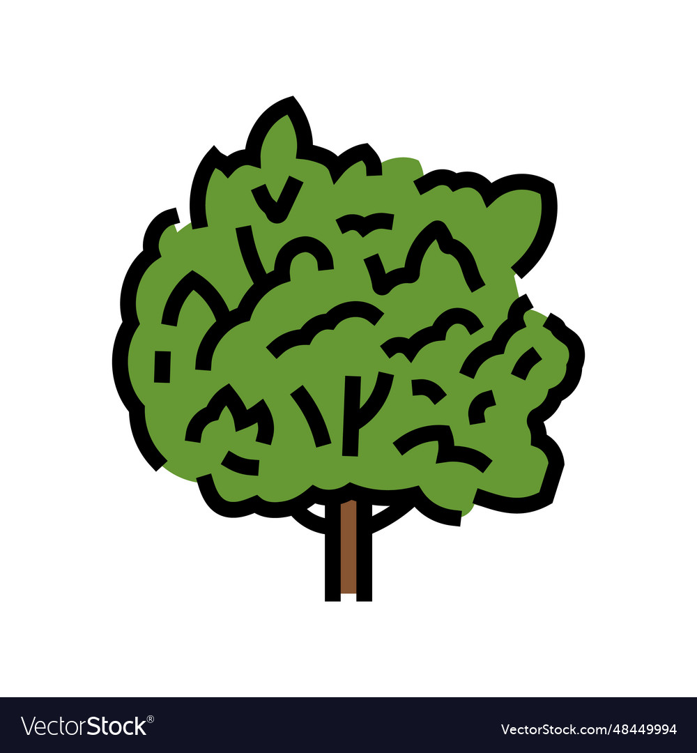 Macadamia tree jungle amazon color icon