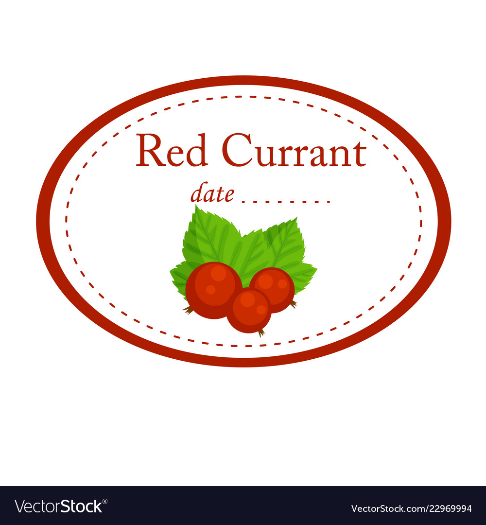 Red currant label design isolated on whit vector image Red currant label design isolated on whit