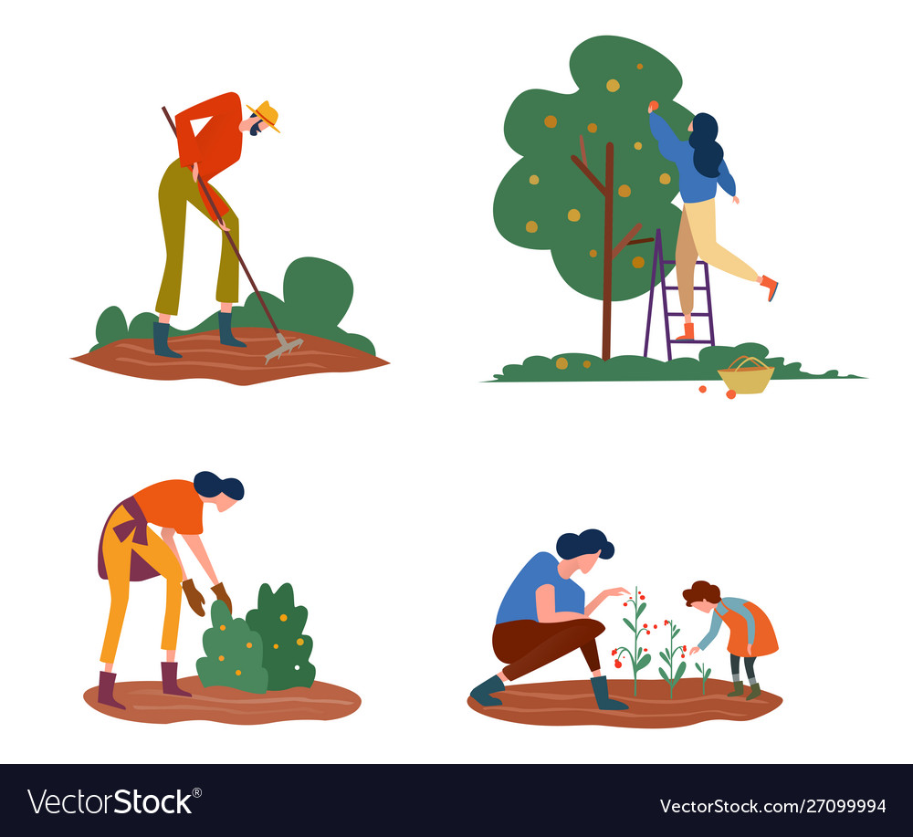 Set farmers or agricultural workers on farm Vector Image