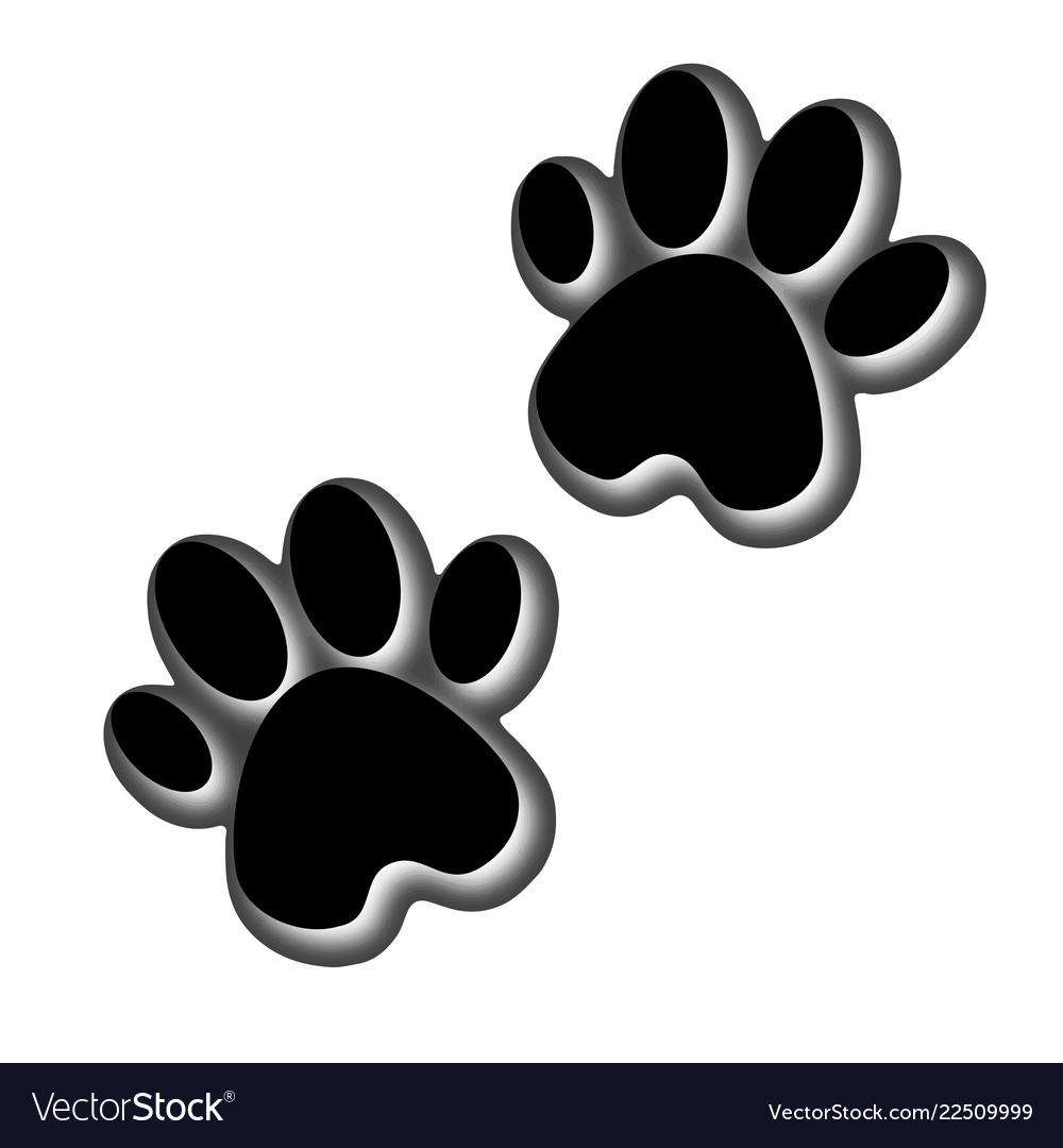 3d Animals Footprint Footprint Dog Or Cat In Vector Image