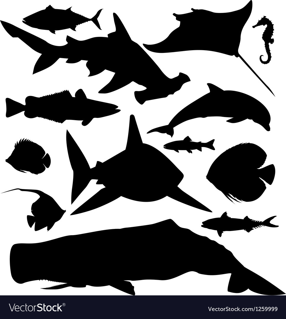 Download Ocean fish silhouettes set Royalty Free Vector Image