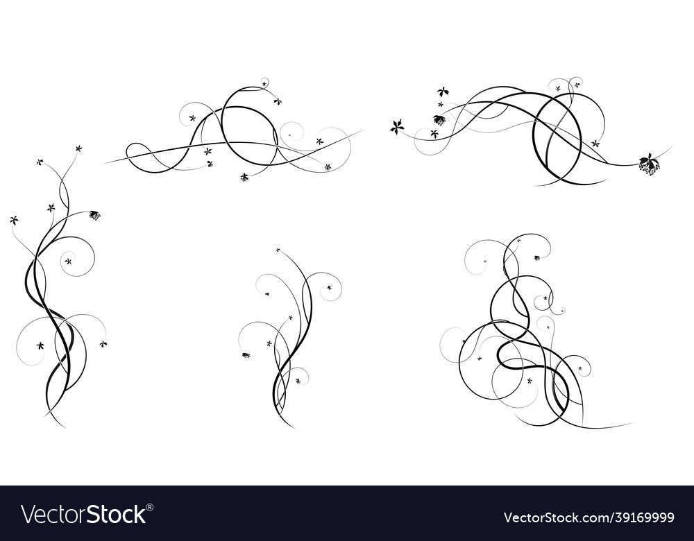 Dekorative Elemente Curl Trauben Design Bild Vector Image Dekorative Elemente Curl Trauben Design Bild