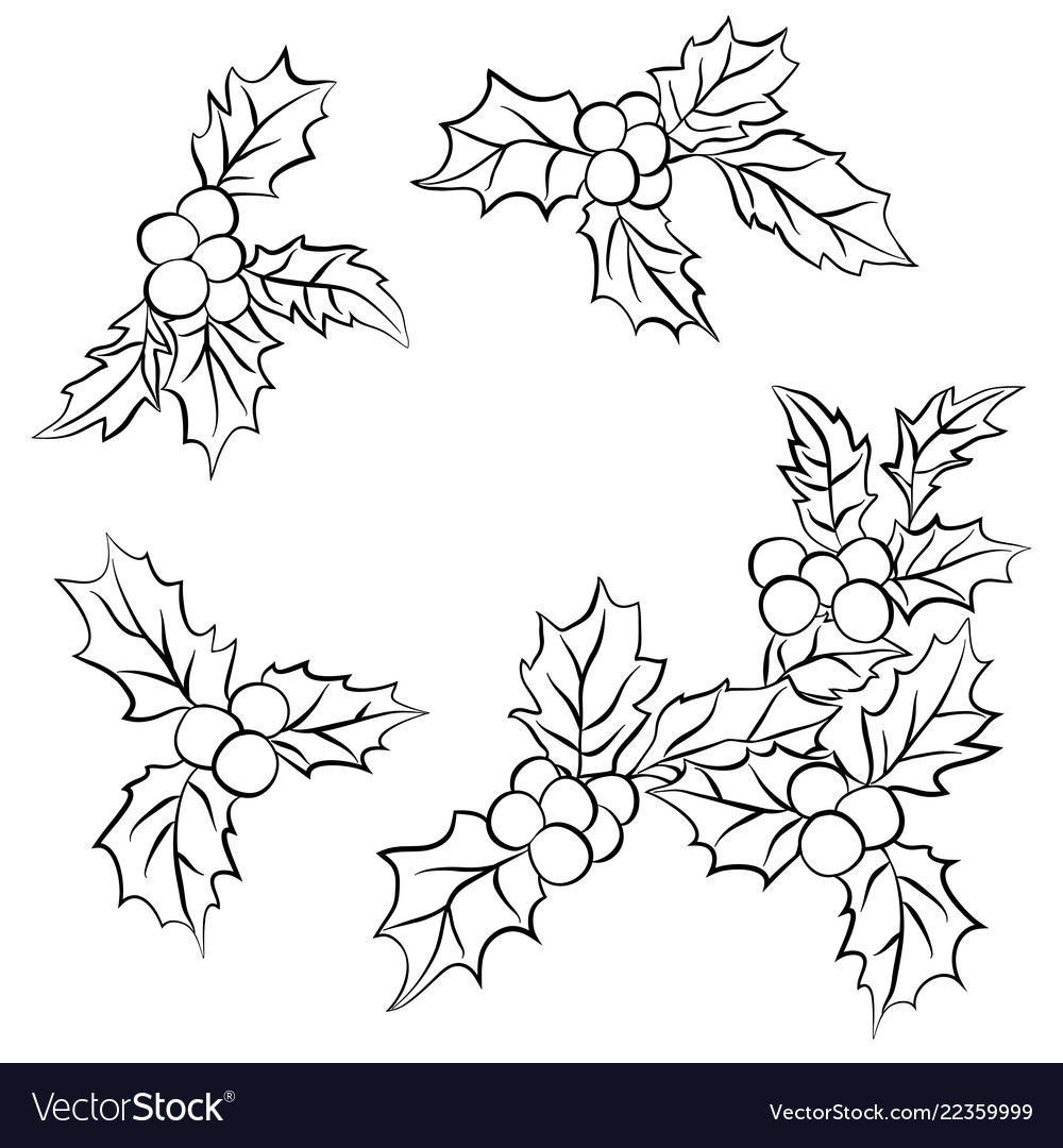 Set Of Christmas Holly Leavesset Of Black Outline Vector Image