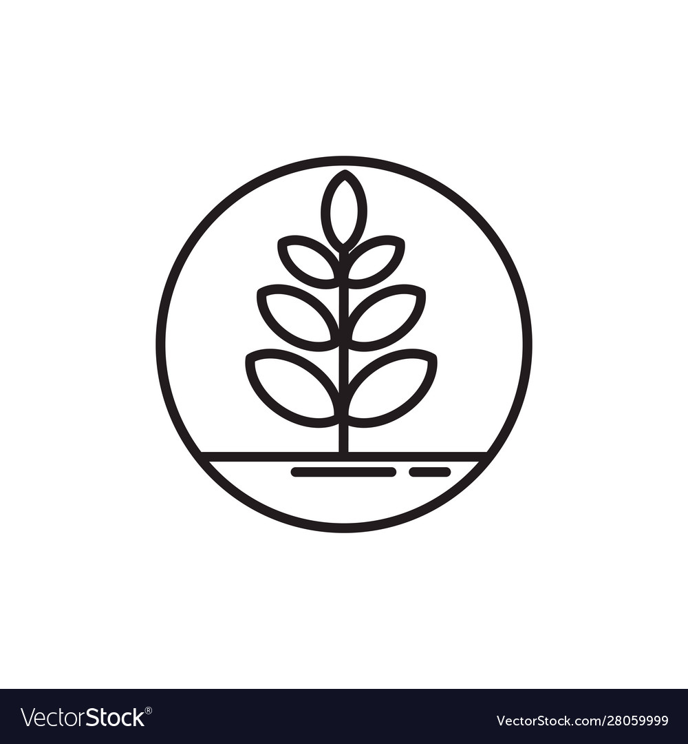 Tree with branches line style