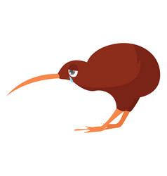 Sad Kiwi Bird On White Background