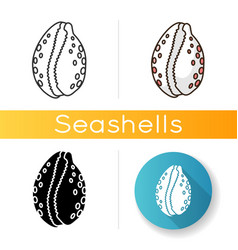 Cowrie Shell Icon