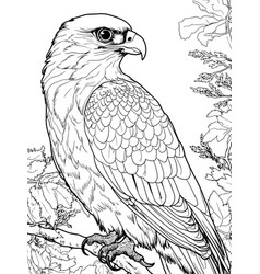 Children Coloring Book Wild Bird Falcon