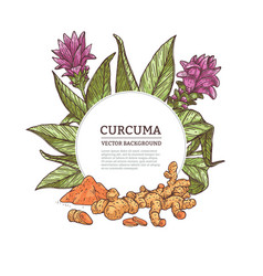 Frame Or Label With Curcuma Plant Color Engraving