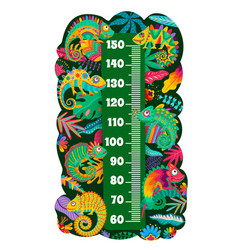 Mexican Chameleon Lizards On Kids Height Chart