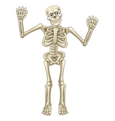 Skeleton Cartoon Waving Hands