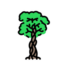 Strangler Fig Jungle Amazon Color Icon