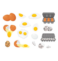 Cartoon Farm Fresh Chicken And Quail Eggs