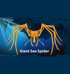 Giant Sea Spider