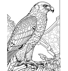 Children Coloring Book Wild Bird Hawk On A Branch