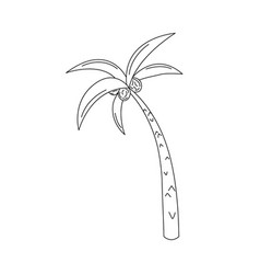 Palm Tree Doodle Isolated