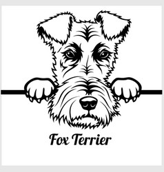 Fox Terrier - Peeking Dogs Breed Face Head