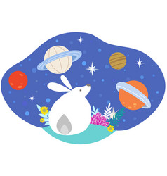 White Rabbit Staring For Falling Stars At Night