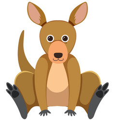 Cute Kangaroo In Flat Style Isolated