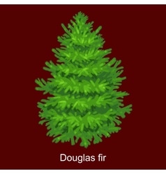 Christmas Tree Like Douglas Fir For New