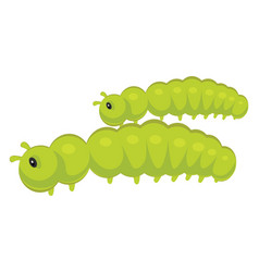 Green Caterpillar On A White Background