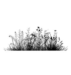 Meadow Grass Silhouette Hand Drawing Not Ai