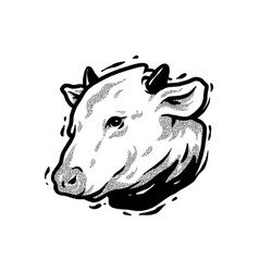 Close Up Cow Face Drawing Line Art