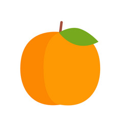 Fresh Apricot Icon Summer Fruit Healthy