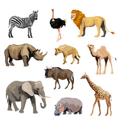 Wild African Animals Set