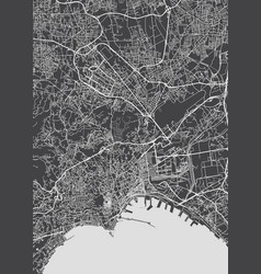 City Map Naples Monochrome Detailed Plan