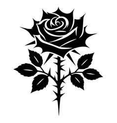 Black And White Rose