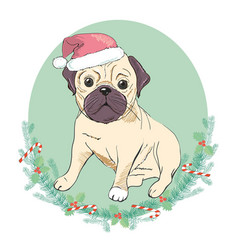 Portrait Of Cute French Bulldog In Red Christmas