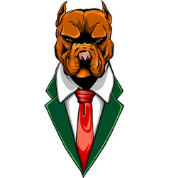 Mastiff Dog Dressed Up In Suit Fashion Animal