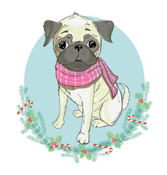 Portrait Of Cute French Bulldog In Red Christmas