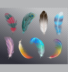 Color Feathers Realistic Set