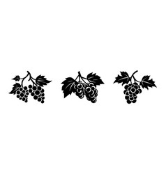 Grape Clusters Silhouettes