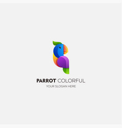 Parrot Bird Gradient Colorful