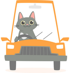 Cat Driving Car