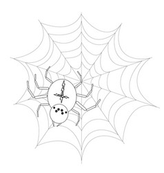 Childrens Coloring Books Scary Spider On The Web