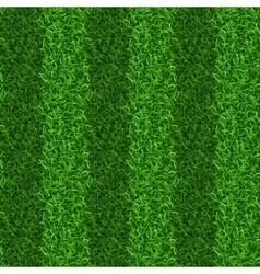 Striped Green Grass Field Seamless Texture