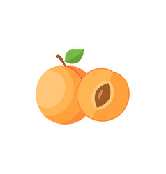 Apricot Flat Design Clip Art