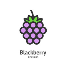 Blackberry Berry Color Thin Line Icon Concept