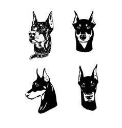 Cute Doberman Cartoon