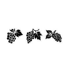 Grape Bunches Clip Art