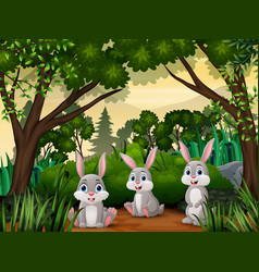 Cute Three Rabbits Cartoon In The Jungle