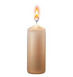 Realistic paraffin burning candle Royalty Free Vector Image